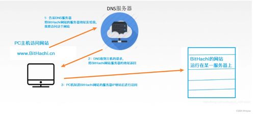 計算機網絡中的關鍵服務 DNS域名解析系統